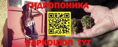 стаф Моздок