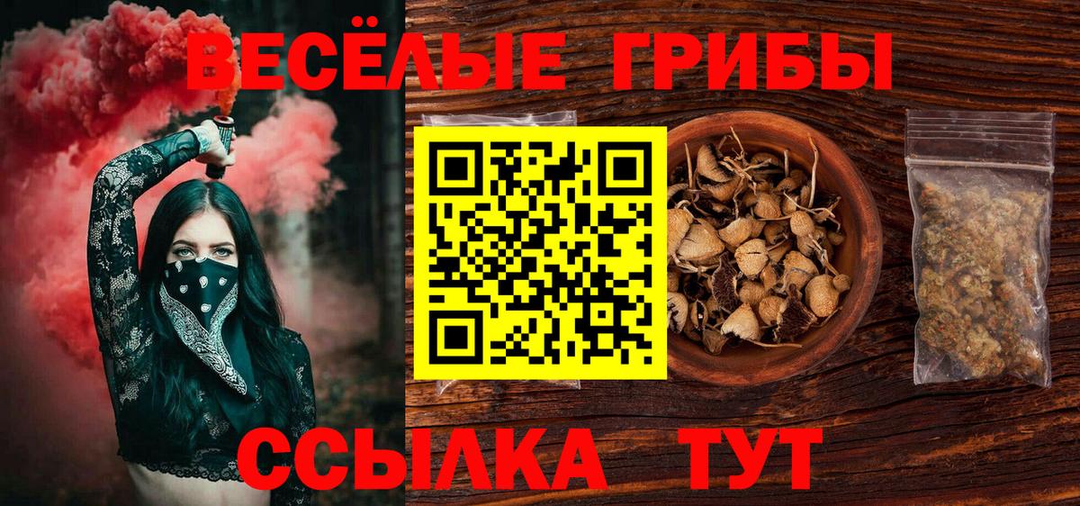 Галлюциногенные грибы Psilocybine cubensis  Вход с VPN  Азов 